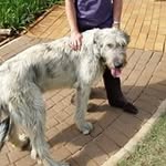 Iris Porter van Rensburg - @portervanrensburg - Instagram