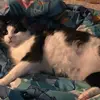 iris_randomposts - @iriss055 - TikTok