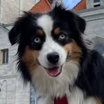 Iris - @iris_powerpuffpinglan - Instagram