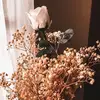 Iris Prince - @greeniriss - TikTok