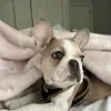 queen_iris_3 - @queen_iris_3 - TikTok