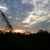 Iris - @iris.quevedo - TikTok