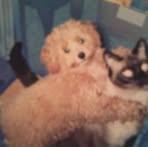 Iris Ragland - Facebook