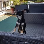 Iris Rath - @phantomania30 - Instagram