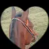 irisregalado75 - @irisregalado75 - TikTok