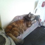 Iris Reimnitz - Facebook