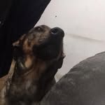 Iris - @irisreina2018 - Instagram