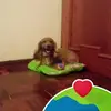 Iris Reynoso - @iris.reynoso17 - TikTok