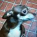 Iris Rhinehart - Facebook