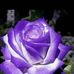 Iris Ricardo - Facebook