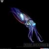 Iris Richmond - @user83674065115168 - TikTok
