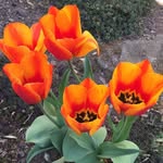 Iris Richter - @iris.richter.520 - Instagram