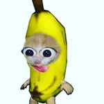 iris riddle dta:) - @1r1s_riddle_dta - Instagram