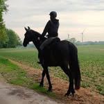Iris Horse Rider - @1ris_rider - Instagram