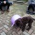 Iris Robertson - Facebook