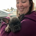 Iris Robertson - @iris_the_frenchie - Instagram