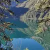 Iris - @irisrock98 - TikTok