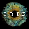 IRIS Rock - @iris.rock - TikTok