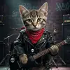 Iris the rock cat - @iristherockcat - TikTok