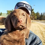 Rogan - @irishsrowdyrogan - Instagram