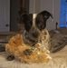 Iris Roseberry - Facebook