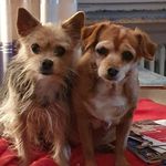 Iris Roth - @iris.roth.75 - Instagram
