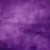 irisrouse - @irisrouse - TikTok