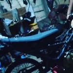 roy iris - @irisroy45 - Instagram