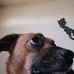 Iris Rudolph - Facebook