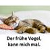 Iris Rudolph - Facebook