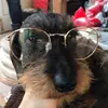 Iris - @irisrushbrooke - TikTok