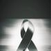 Iris Salguero - Facebook