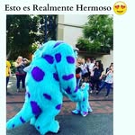 iris alexandra reyes sanabria - @alexandra_reyes08 - Instagram