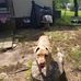 Isis Harrington - Facebook