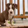 iris Sarmiento - @pilar.sarmiento91 - TikTok