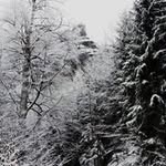 Iris Schäfer - @schferiris - Instagram