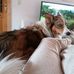 Iris Schiffer - Facebook