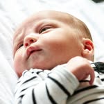 irisschippersfotografie - @irisschippersfotografie - Instagram