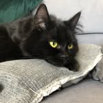 Olijfje Iris Legters Schipper - @therealolijfje - Instagram