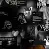 Iris Schneider - @iris.schneider050 - TikTok
