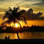 Iris Schneider - @iris.schneider.378 - Instagram