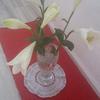 Iris Schrader919 - @irisschrader1954 - TikTok