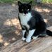 Iris Schrader - Facebook