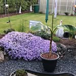 Iris Schrader - @iris.schrader66 - Instagram