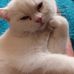 Iris Schreiber - Facebook