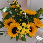 Iris Schreiber - @irisifi - Instagram