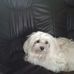 Iris Schreiber - Facebook