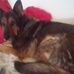 Iris Schuler - Facebook