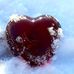 Iris Schuler - Facebook