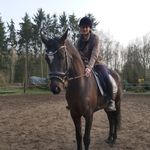 Iris Schuler-Hilgefort - @irisschulerhilgefort - Instagram